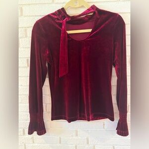 Molly Bracken Velvet Top